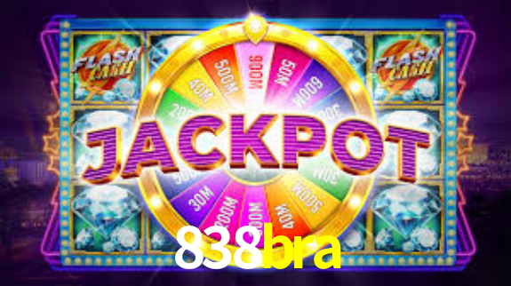 Premium Interface 838bra