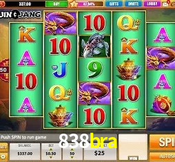 Security Systems 838bra